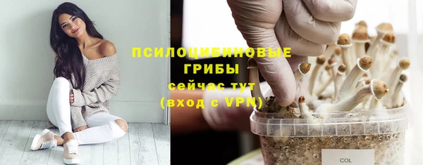 соль курить ск Михайловка