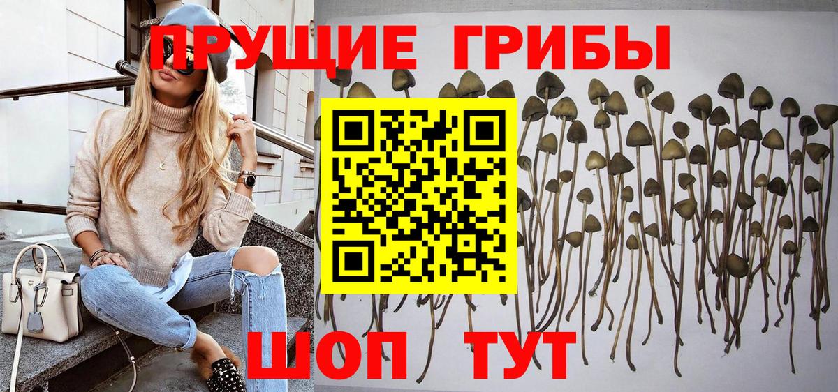 Галлюциногенные грибы прущие грибы Златоуст