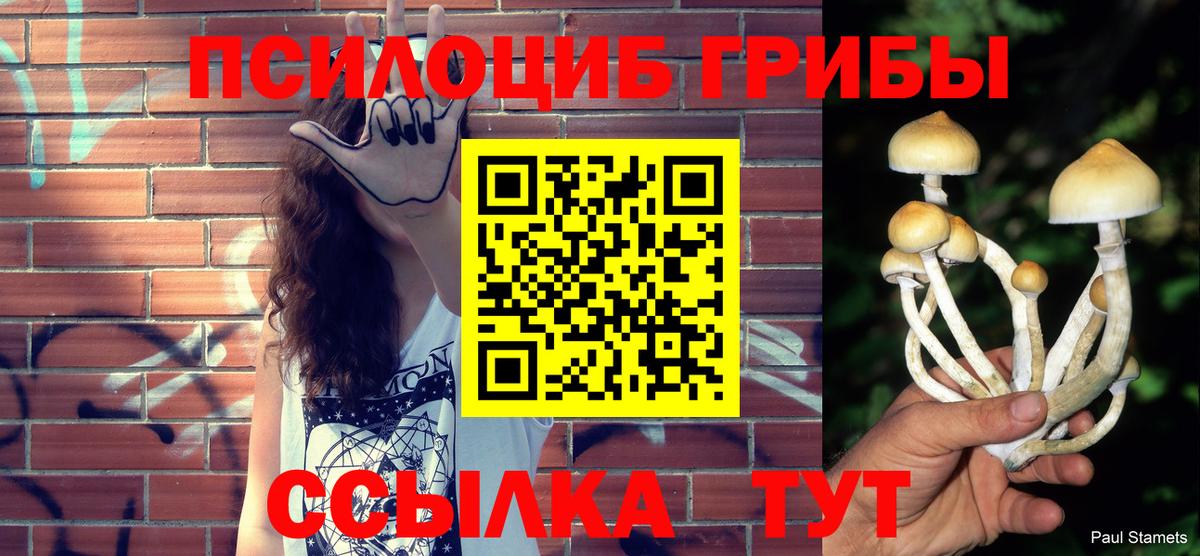 Галлюциногенные грибы Magic Shrooms  Златоуст  Псилоцибиновые грибы прущие грибы 