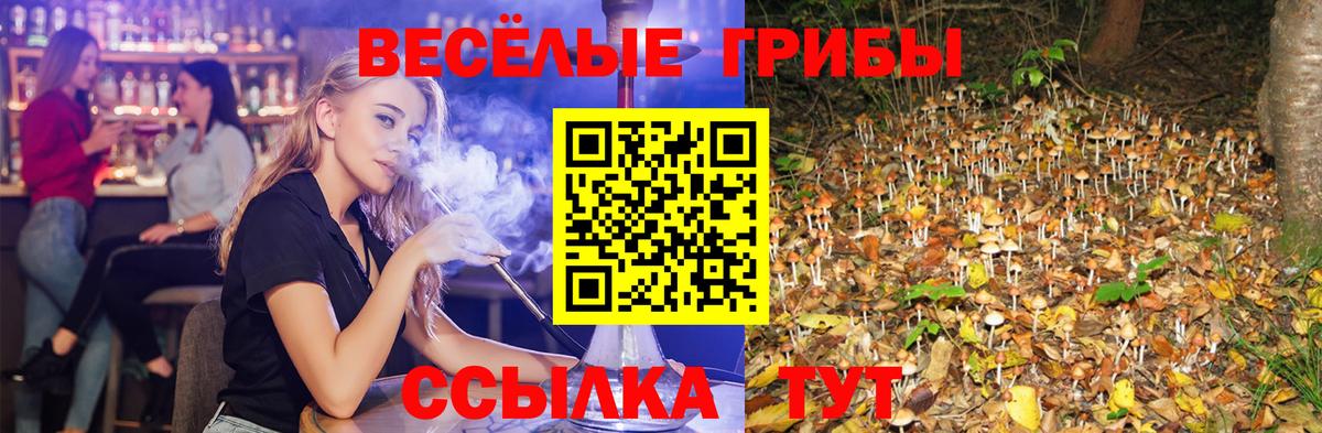 Псилоцибиновые грибы MAGIC MUSHROOMS Златоуст