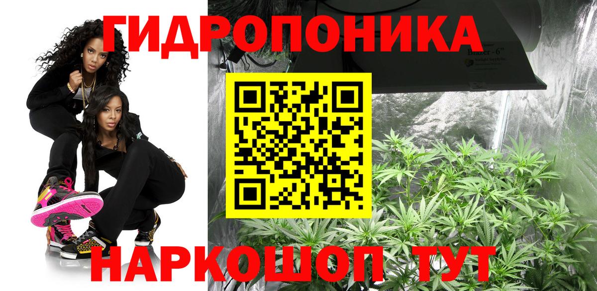 Псилоцибиновые грибы Златоуст